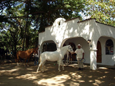 Costa Rica-Guanacaste-Ranches, Volcanoes & Beaches in Guanacaste